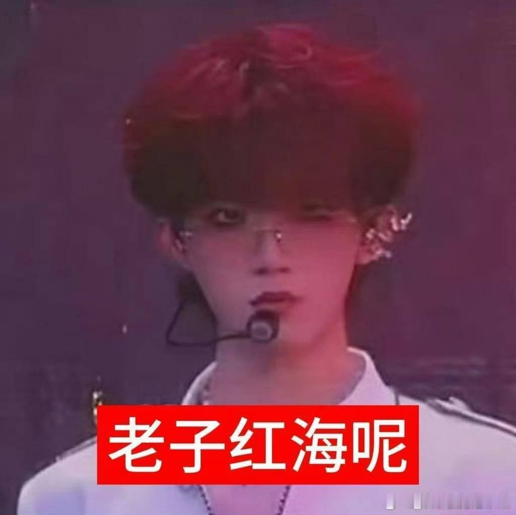 棍丝nb啊神奇的午饭丝就这样嘴硬朱志鑫苏新皓演唱会灯牌总结战报