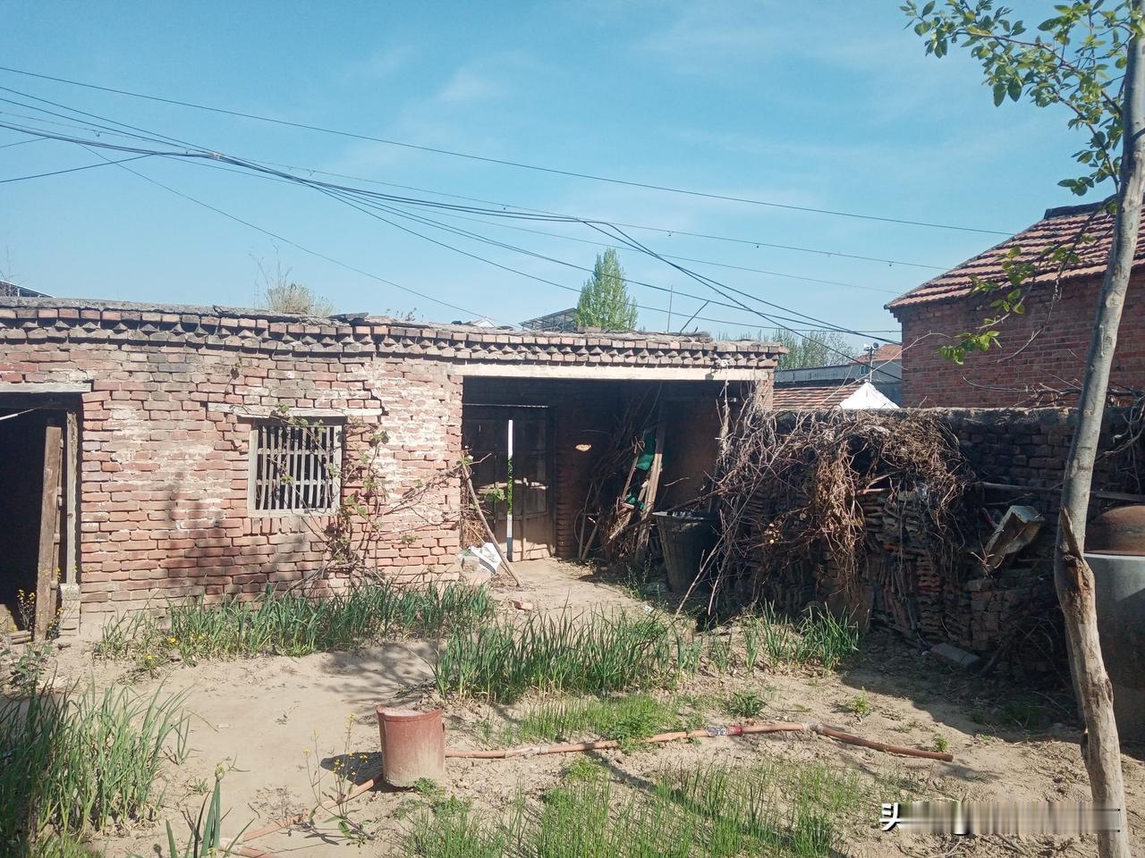 今日4月16日，农历二月二十九
老话说“热不热，就看二月二十九”
二月二十九晴，