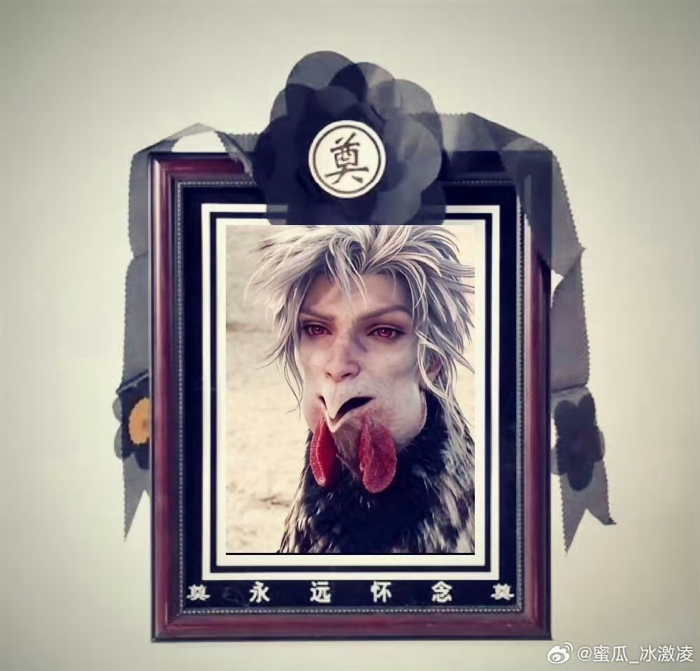 黎夫人专用 有吗 
