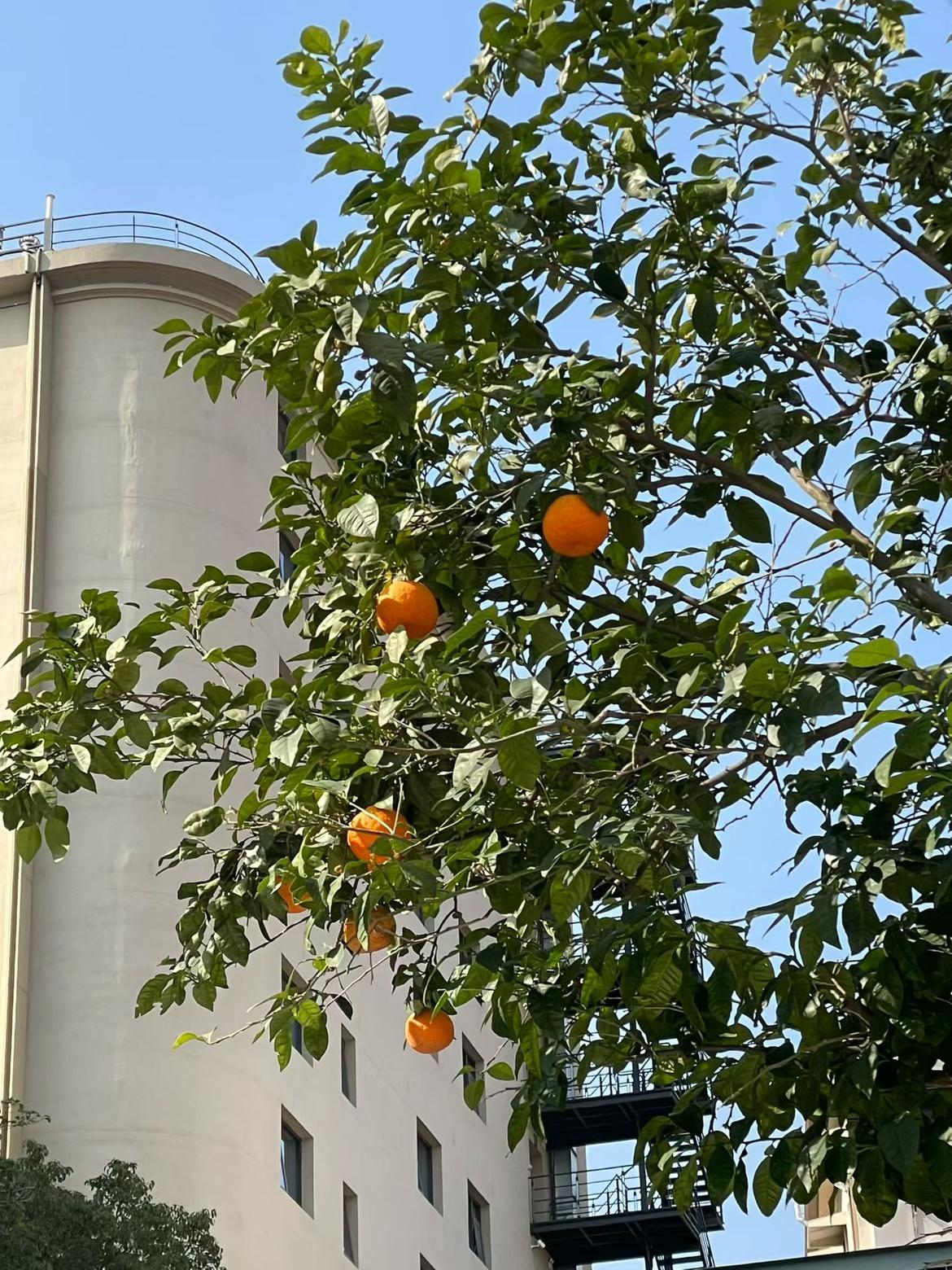 我的今日状态：😁轻松愉快
我这里的天气：☀️晴天