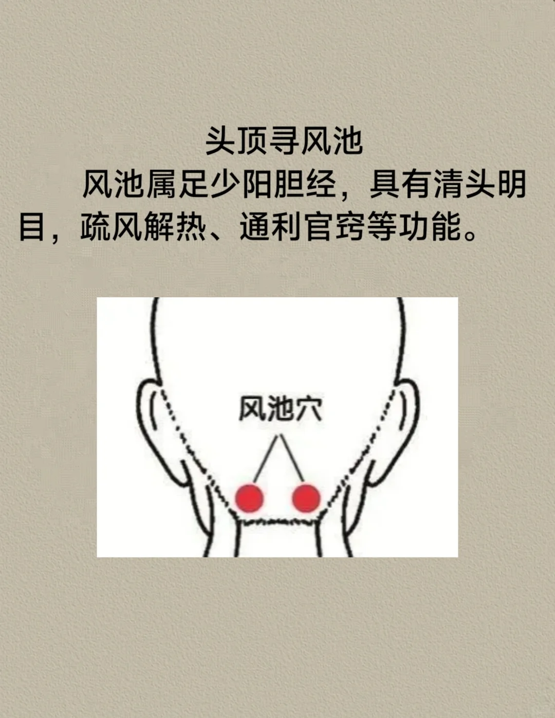 颈项、耳、目、侧头部及脑部，找风池