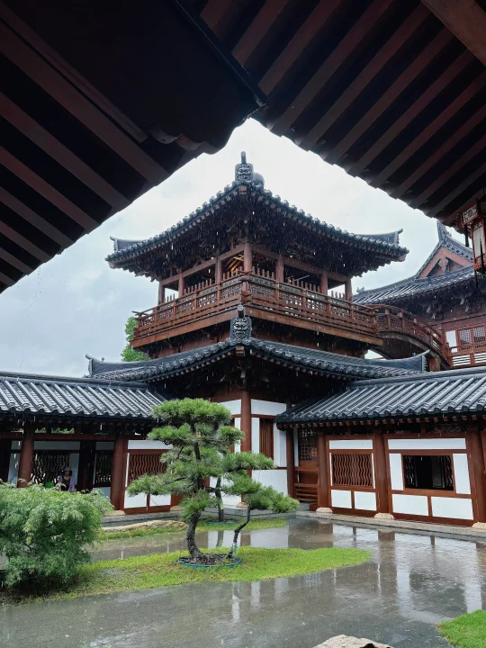 其实，南京最值得逛的园林不是瞻园