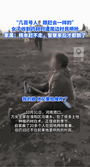 让人瞠目结舌！河南周口上百村民疯狂争夺药材，主人当场崩溃痛哭
河南周口市淮阳区冯