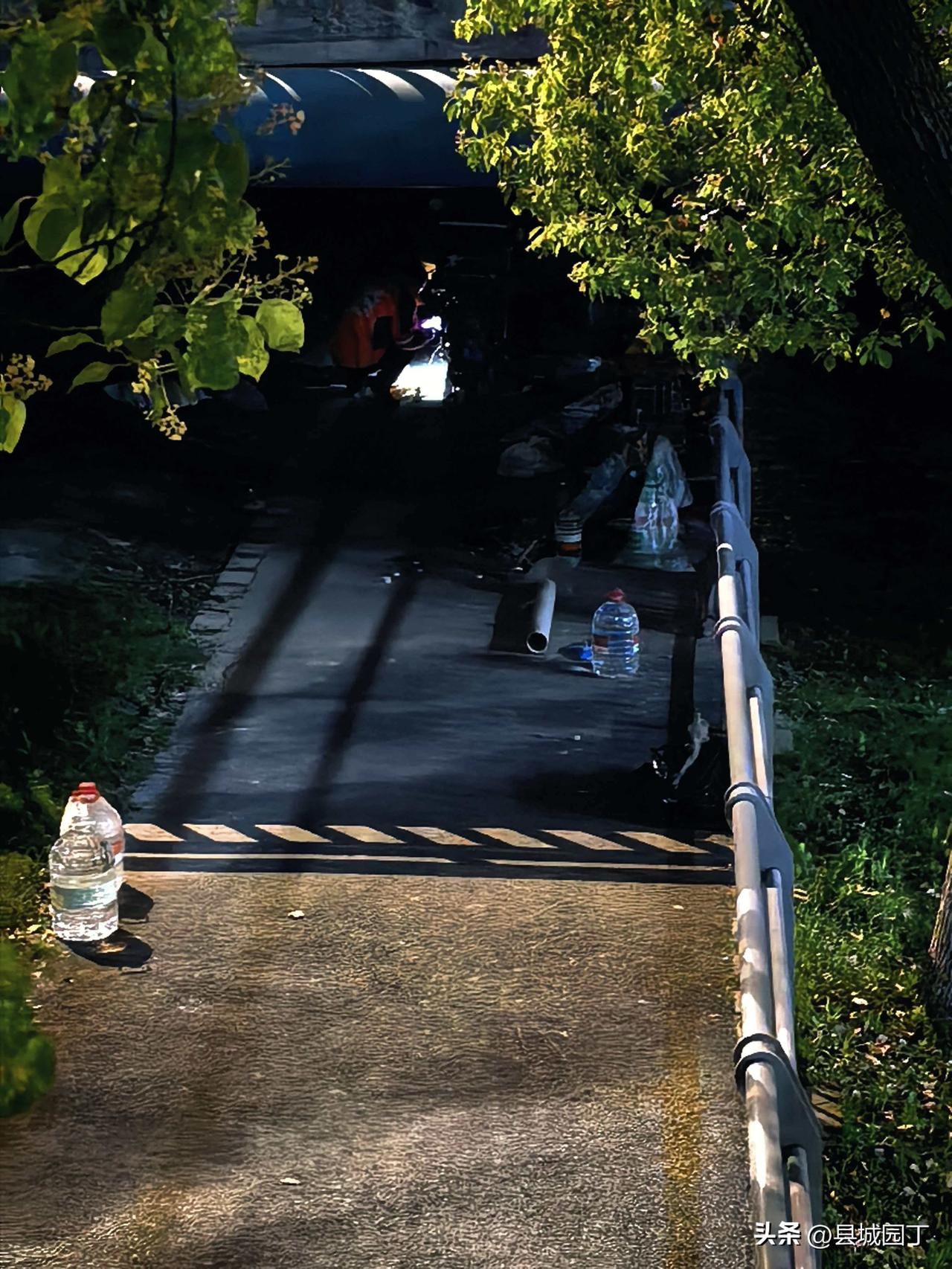 大神老哥、老弟，还有一位开保时捷的头条男性朋友，让我又一次想到了西晋的第二位皇帝