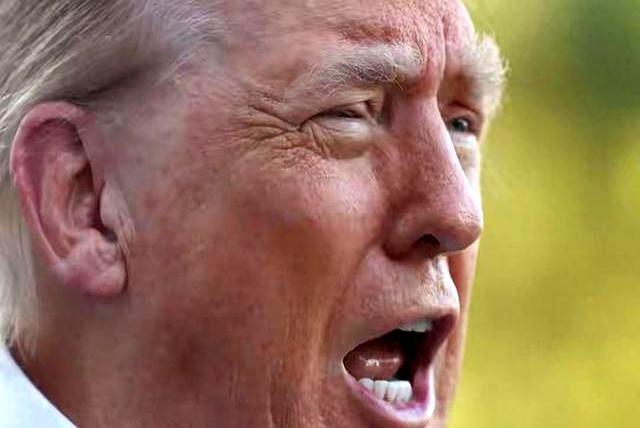 天价筹码！
特朗普狮子大开口：美伊协议换“免费石油+海峡控制权”，是外交胜利还是