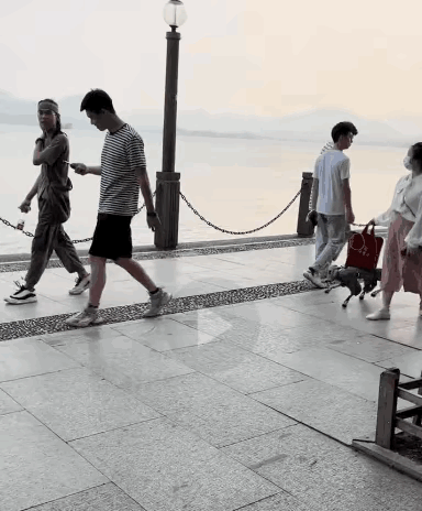 现在倒好了，科技带来的便利，以后出门不用自己提包了。