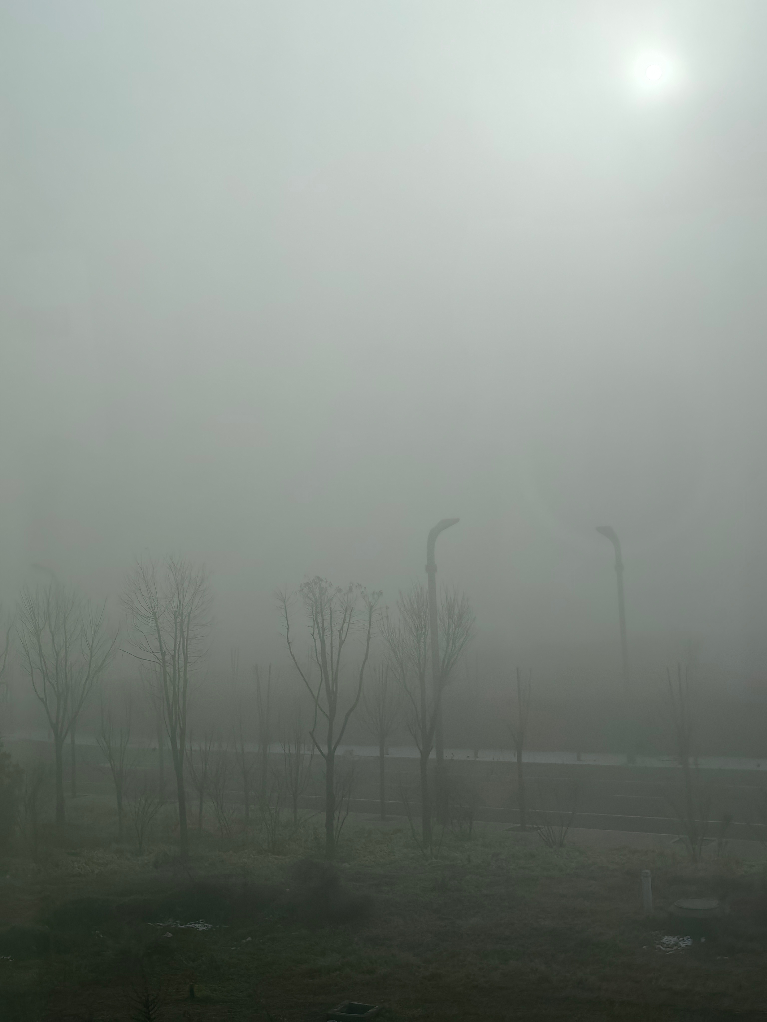 河北保定到北京大兴机场高速大雾天气，高速封路，差点赶不上飞机，还是提前3个半小时