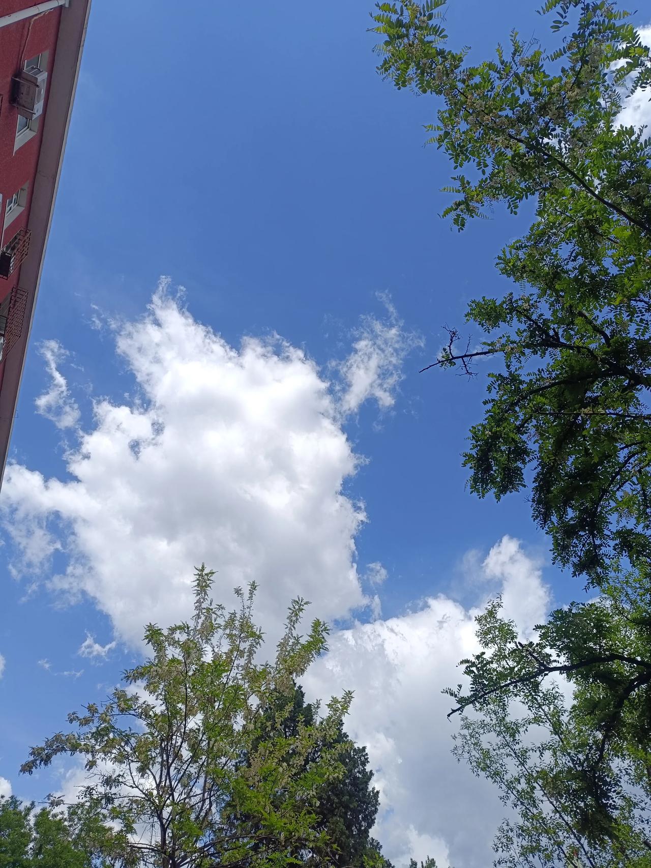 这天气真的是太善变了吧，突然来一片云彩，就下一阵雨，真的是有的淘气啊！
