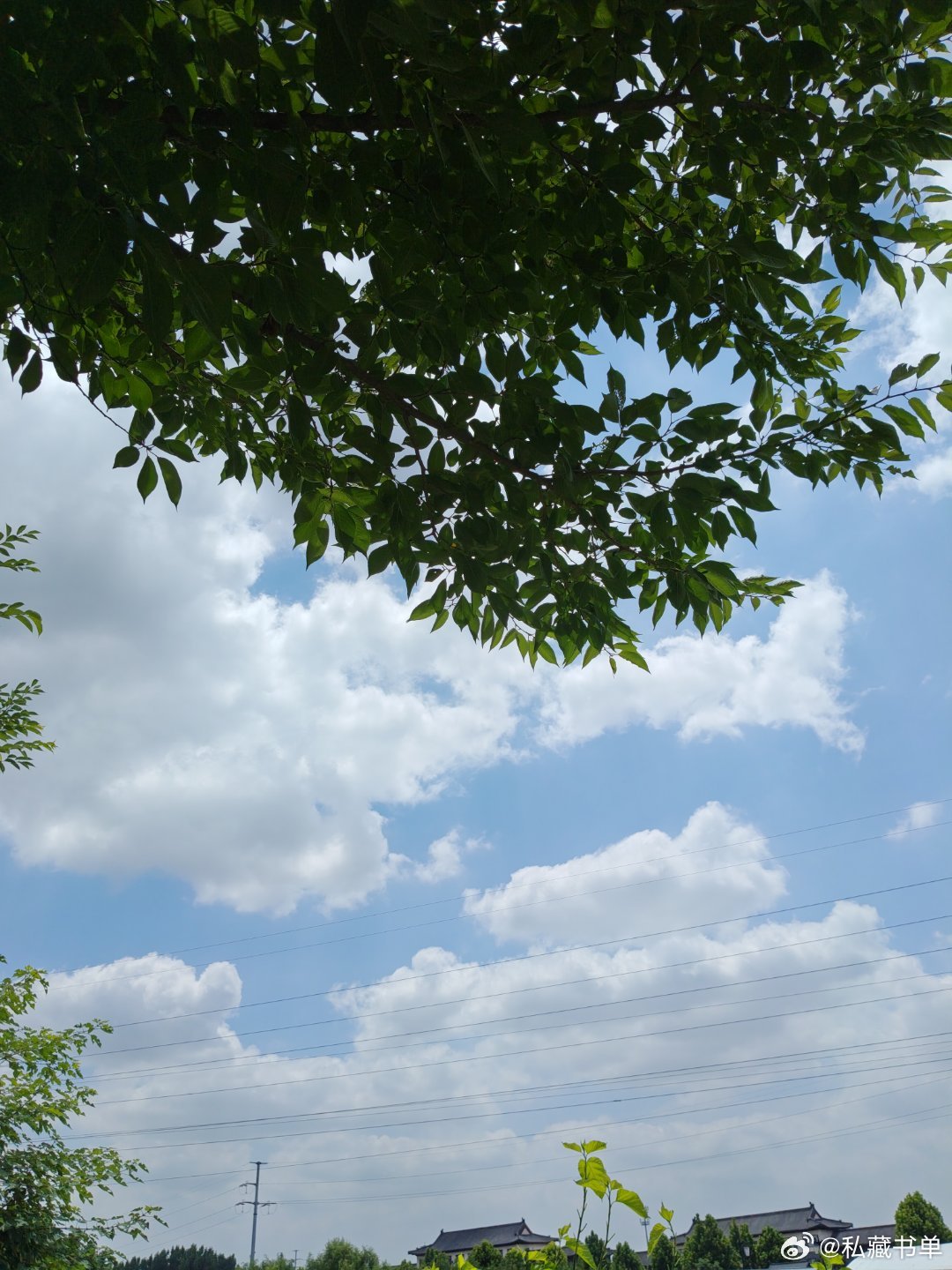 今天这云，简直是天空的“表情包”生成器！一会儿像棉花糖，一会儿像飞碟，再一会儿又