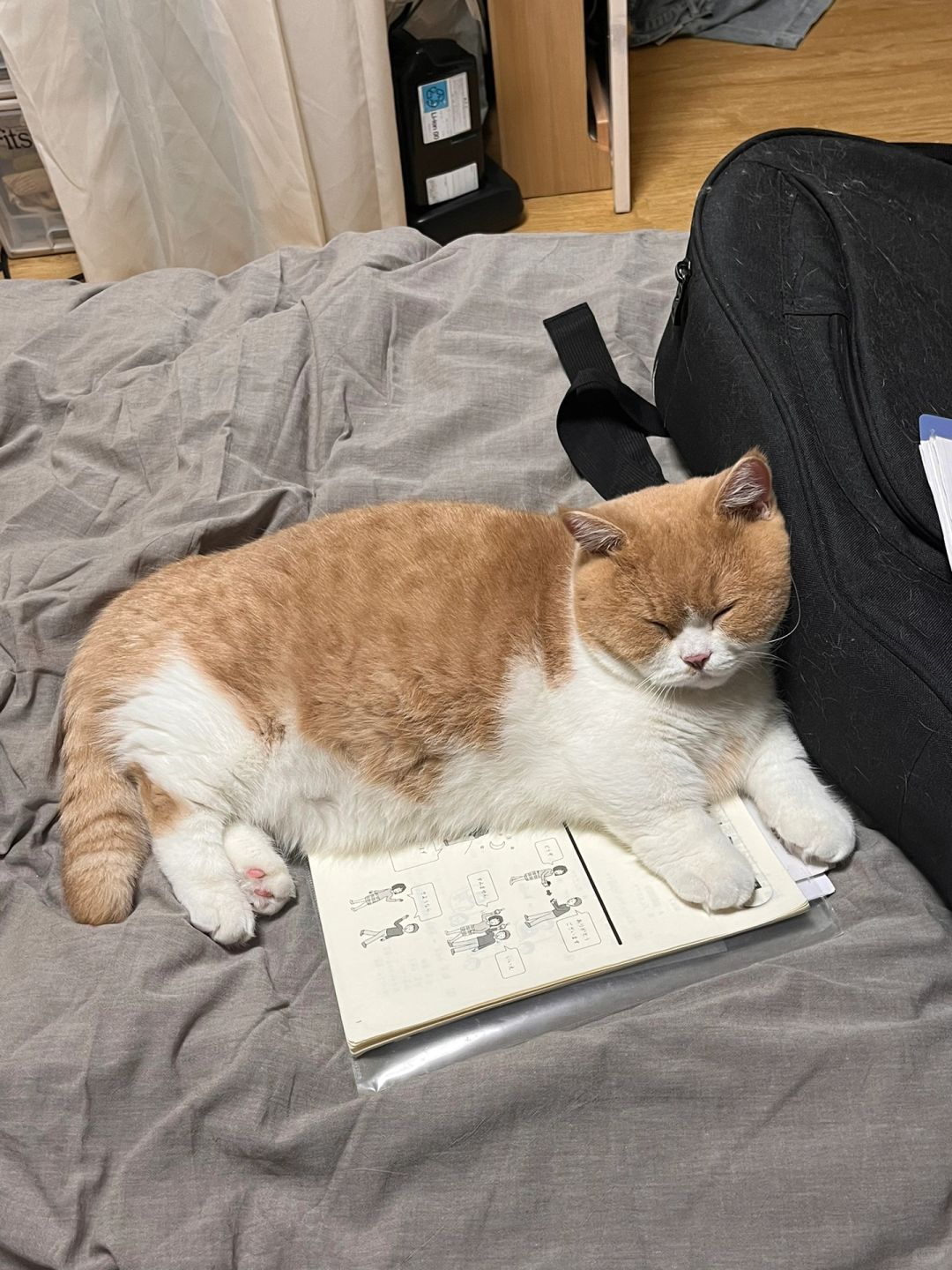 勉強お疲れた