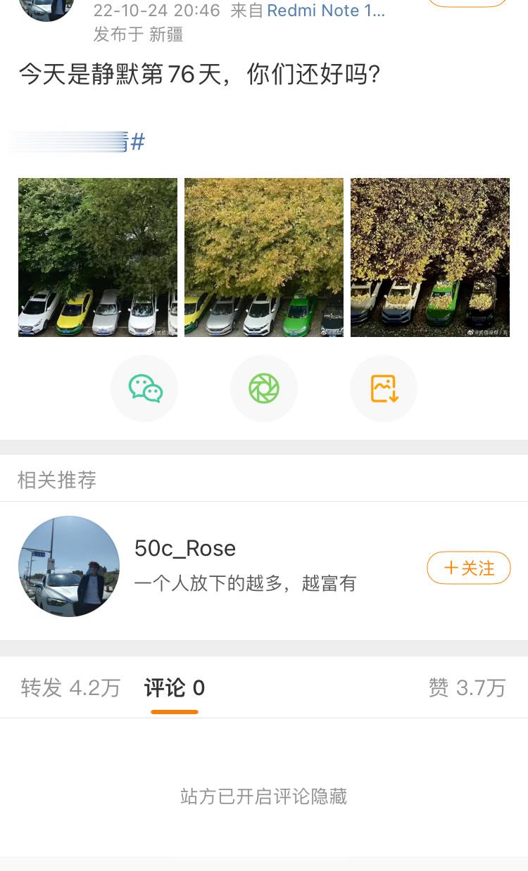 深夜有人给我的旧帖点赞，想起了去年的新疆四季图。当时我胆子够大的，居然敢转发还写