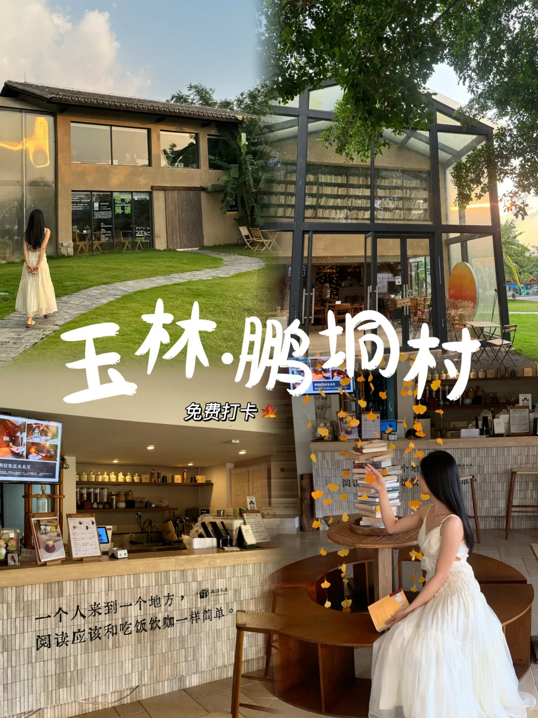 玉林鹏垌村/开车半小时直达🍁秋色世外桃源