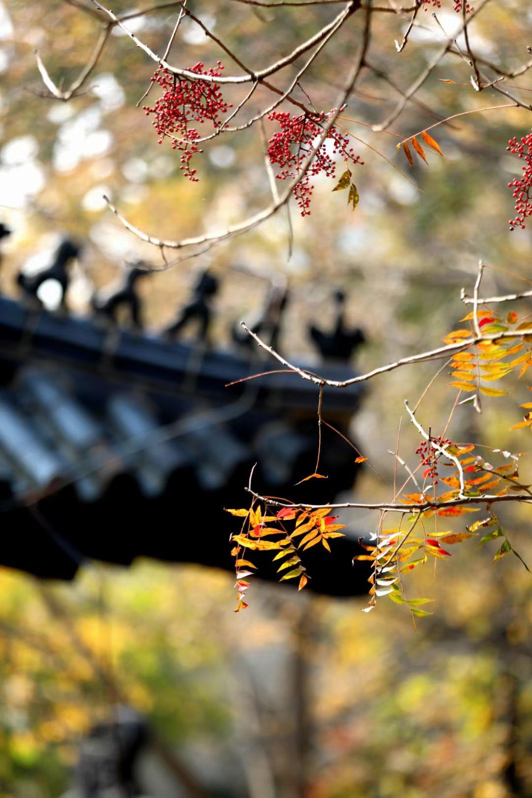 把自己按下暂停键30秒，尽量让自己不说话，做几次深呼吸，换个思维想想自己如果说了