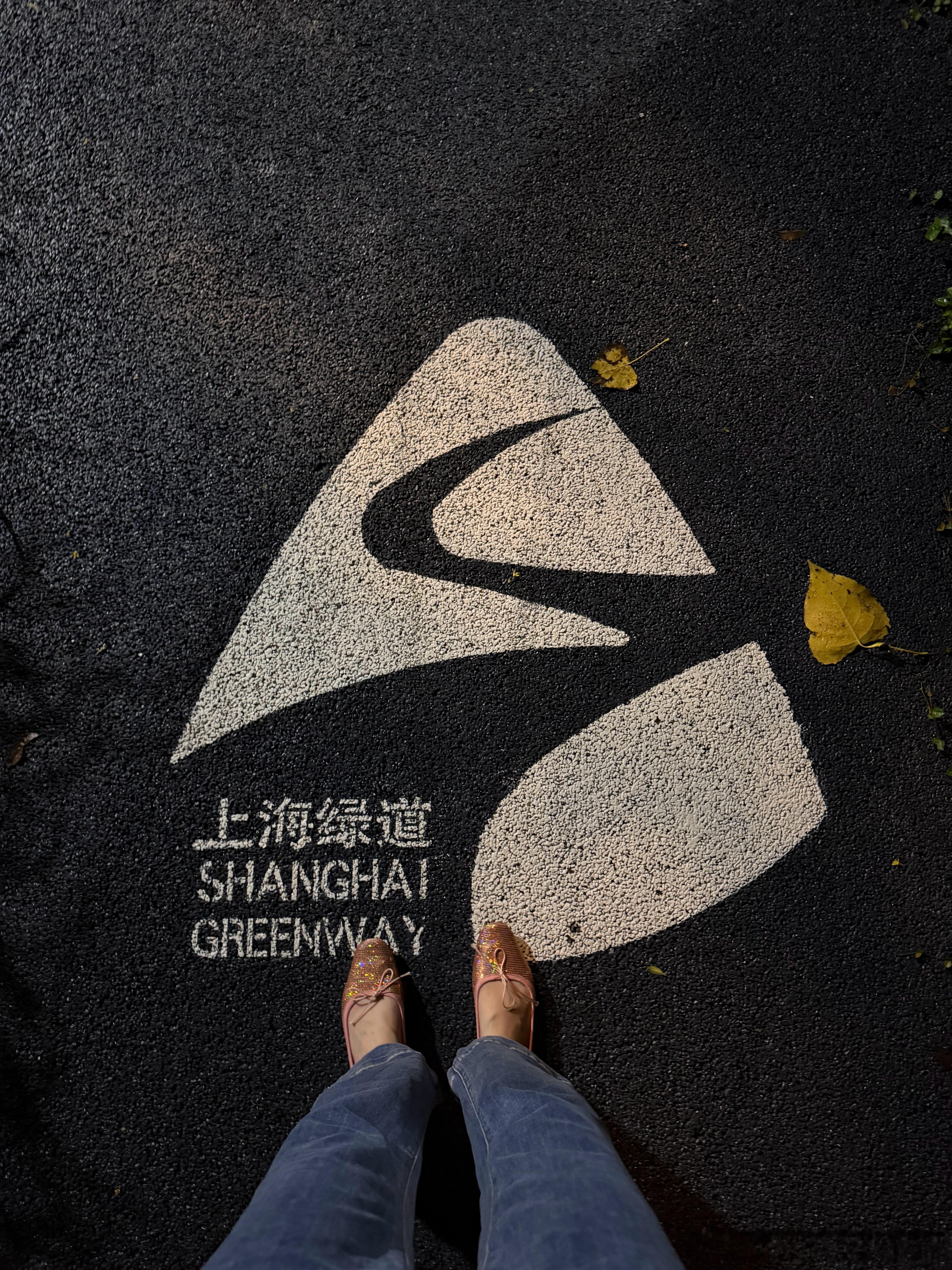 新江湾城这时候散步好舒服。雨后清凉，树枝草丛都挂着雨滴，鸣虫抖翅声音也水灵灵地湿