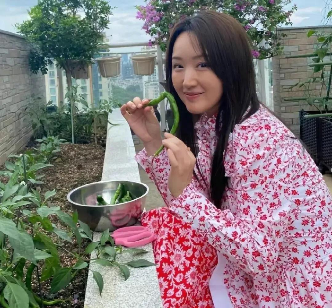 不知道你发现没有，杨钰莹与周海媚的生活状态何其相似啊！

她们都是年少入圈，不到