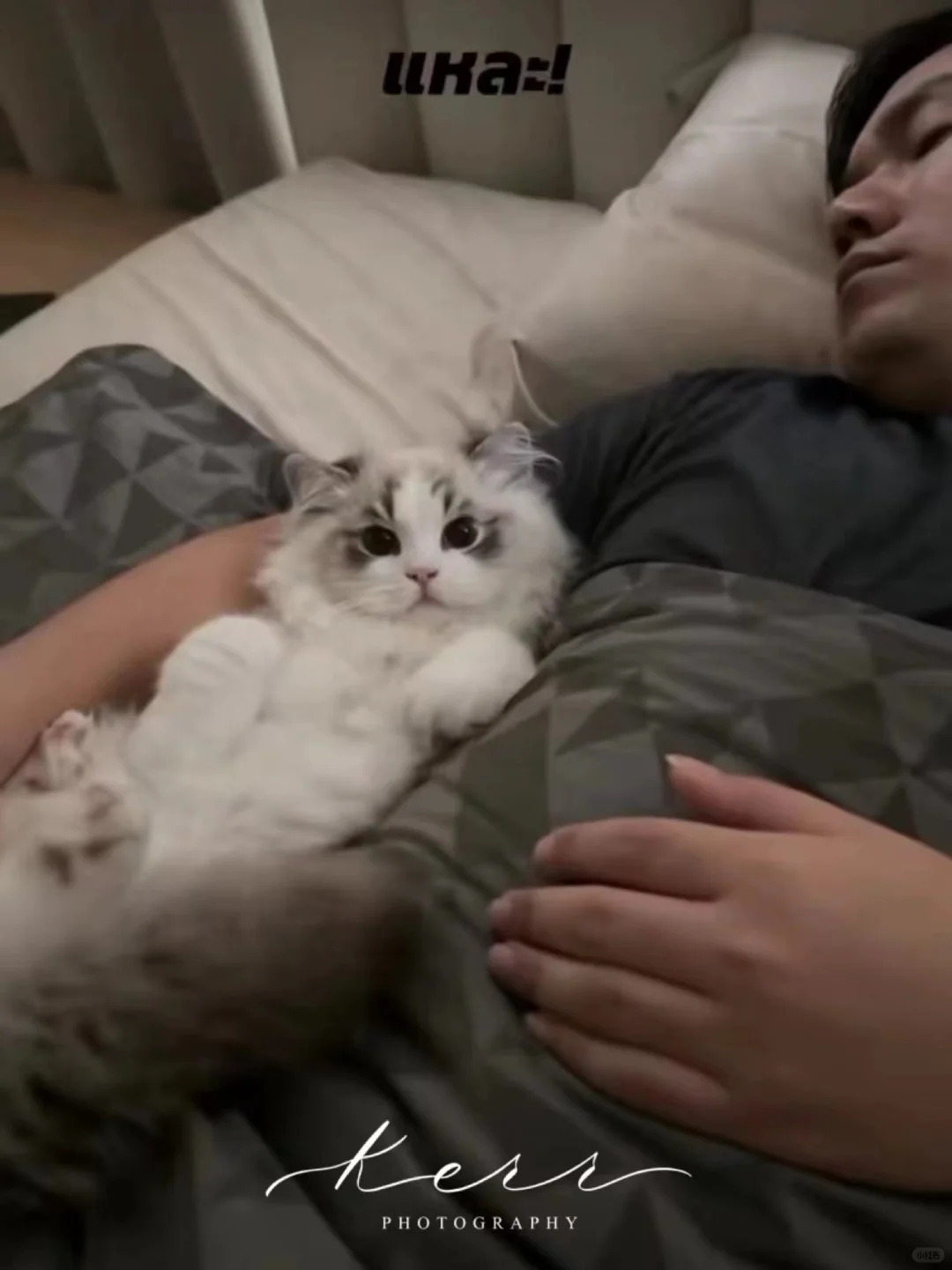 今天陪爸爸睡觉💤