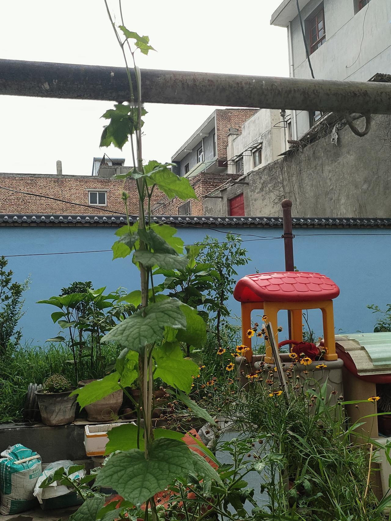 首选城郊山间，山里树木茂密，溪水潺潺，气温比市区低好几度。走在林荫小道，有清风穿