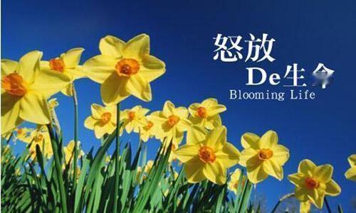 今年春天，我想去长沙省植物园赴一场花海之约：去樱花湖邂逅‘湖光樱色’的倒影，去世