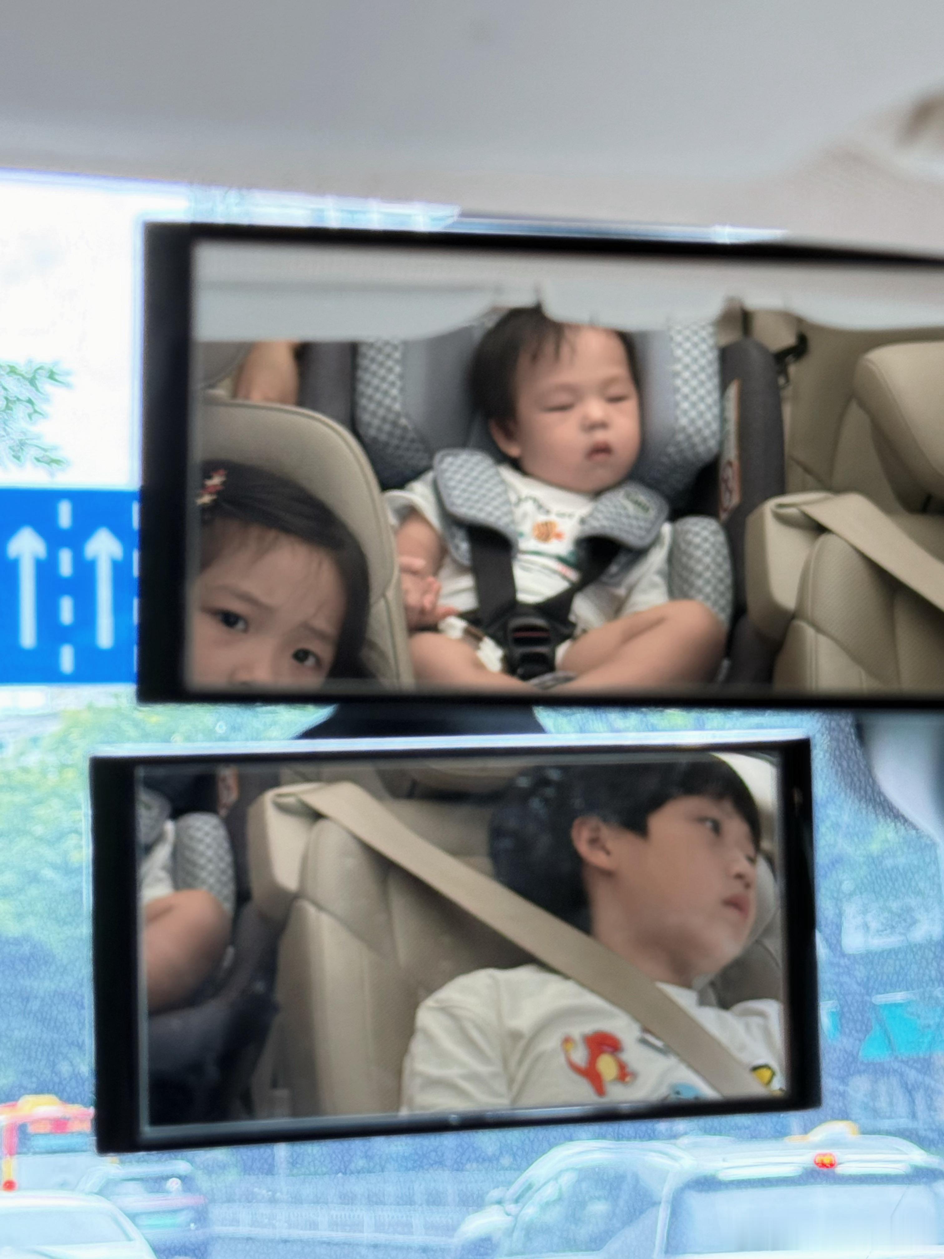 一抬头，满屏仔…我的三个崽崽 广州