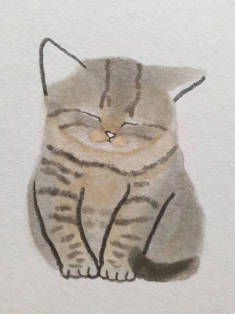 可爱的手绘猫咪头像｜Byeolnyang 