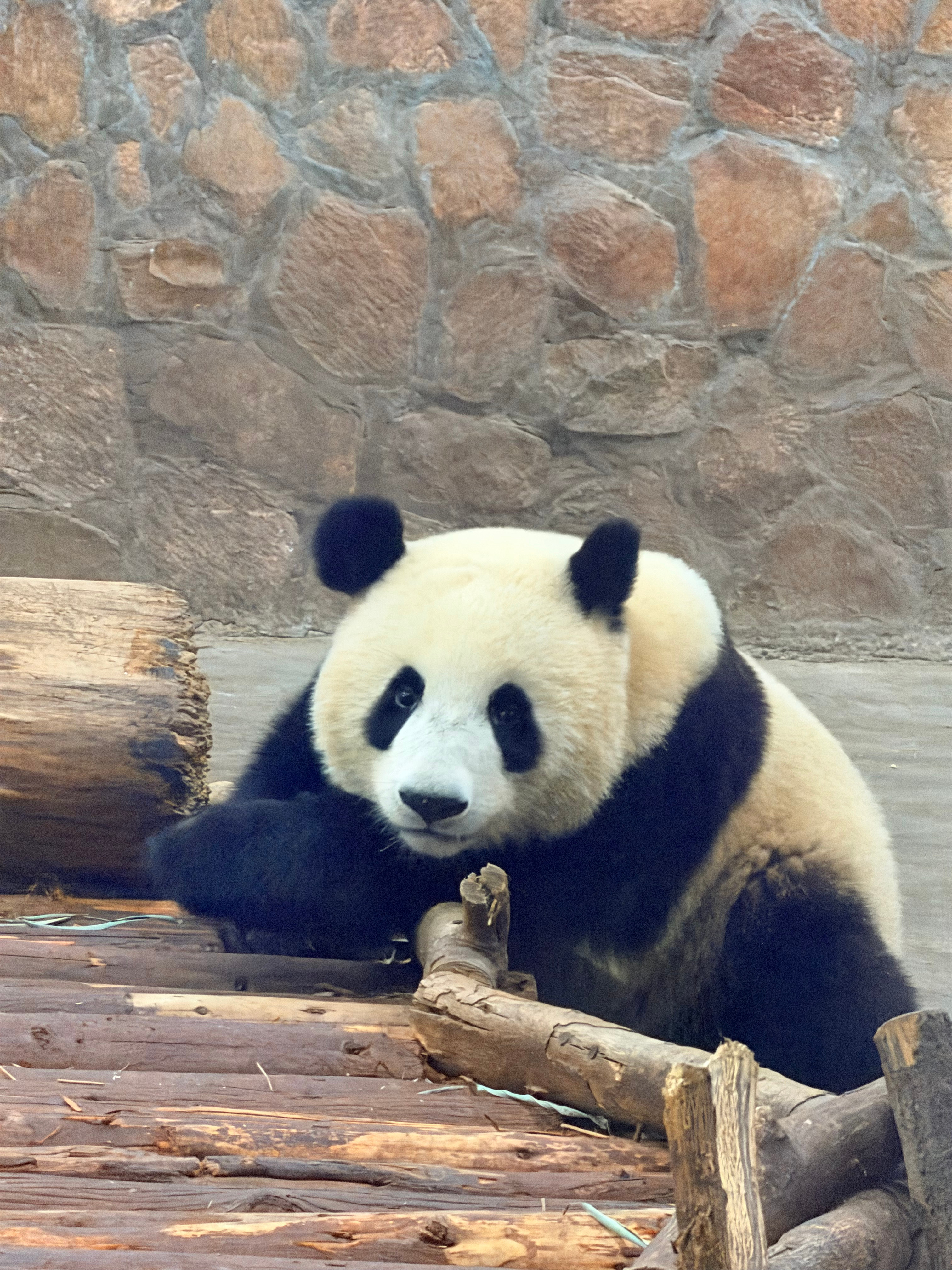 大家早上好今天周三，一周进度过半。褪去周一的慌乱，熬过周二的忙碌，坚持再往前冲一