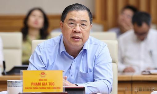 越南出口中国榴莲造假，副总理亲自上门，恳请中方再给一个机会


9月16日，南宁