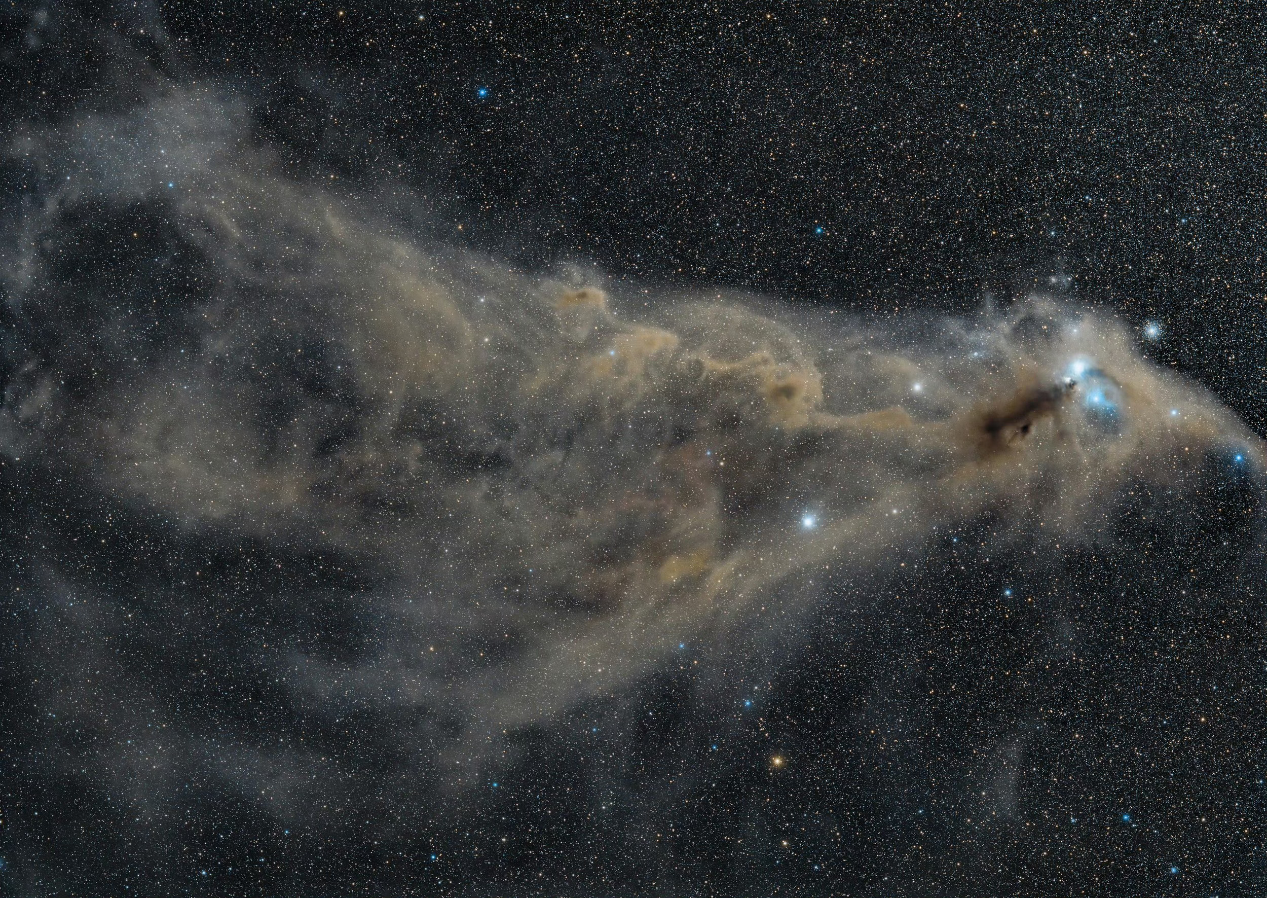 #每天一天文图# 南冕星云 ​​​
