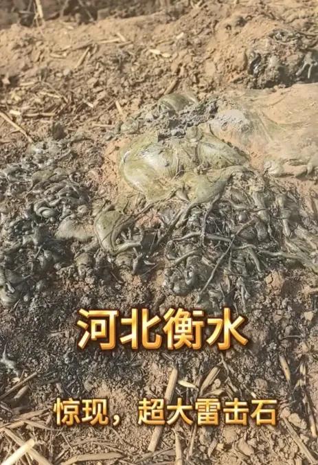 一道雷劈进麦田，老农刨出个"国宝级"石头，全网急了！别动！那是国家的！可谁替他赔