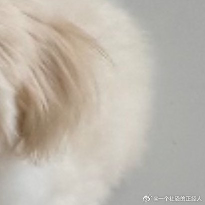 阳光信用阳光信用 每日‬一善阳光‬‬信用你好一起保护大自然与社会携手做公益关爱唇