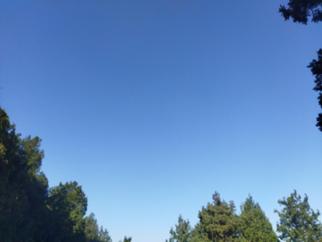 晒图笔记大赛晴空万里。道不远人人自远道。