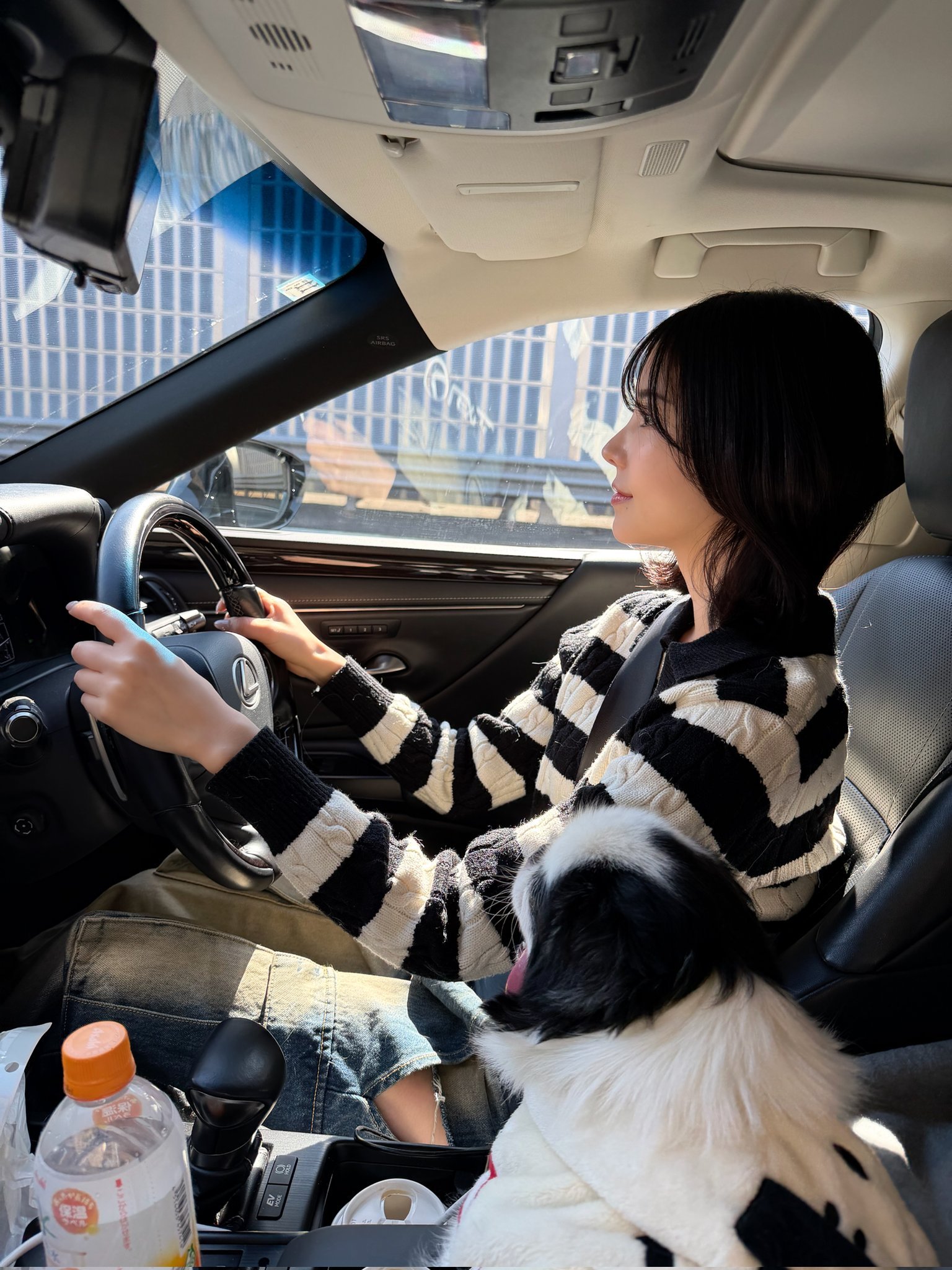 伊朗公布10项停战条款主要内容 两边各自宣布停战条款的时候真的没有对一下账吗，总