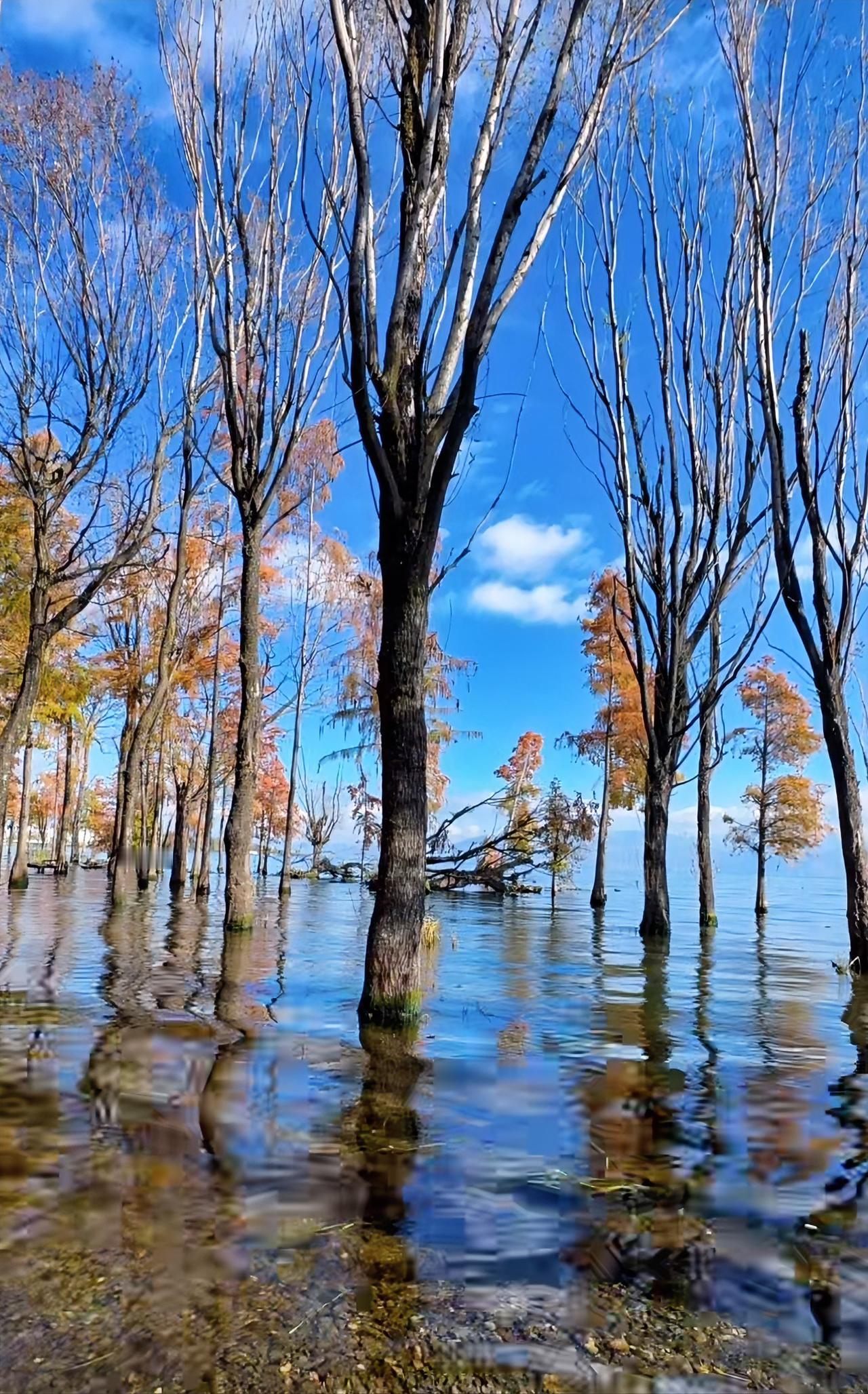 “你看到的世界，就是你意识的投影”，这话太有道理了。
王阳明说“心外无物”，和心
