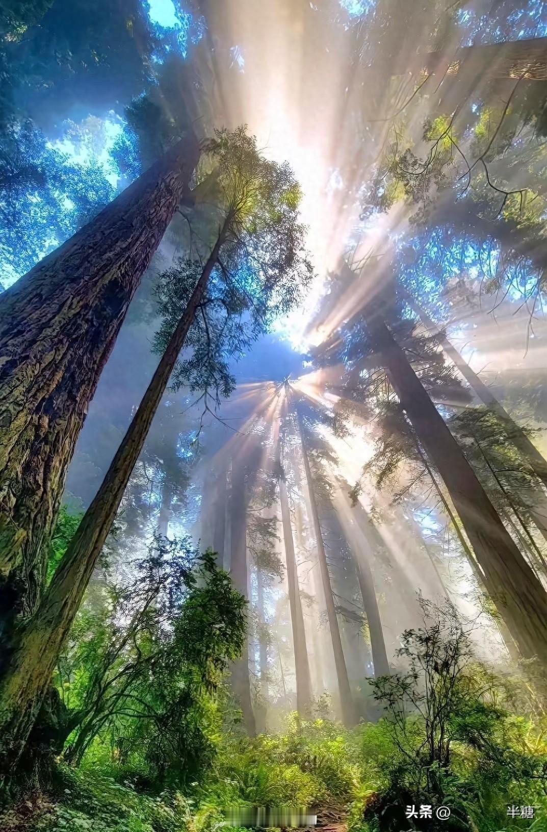 跟媳妇儿“每天至少主动碰对方三次”的理论，她当时就笑了：“咋的，感情还搞KPI啊