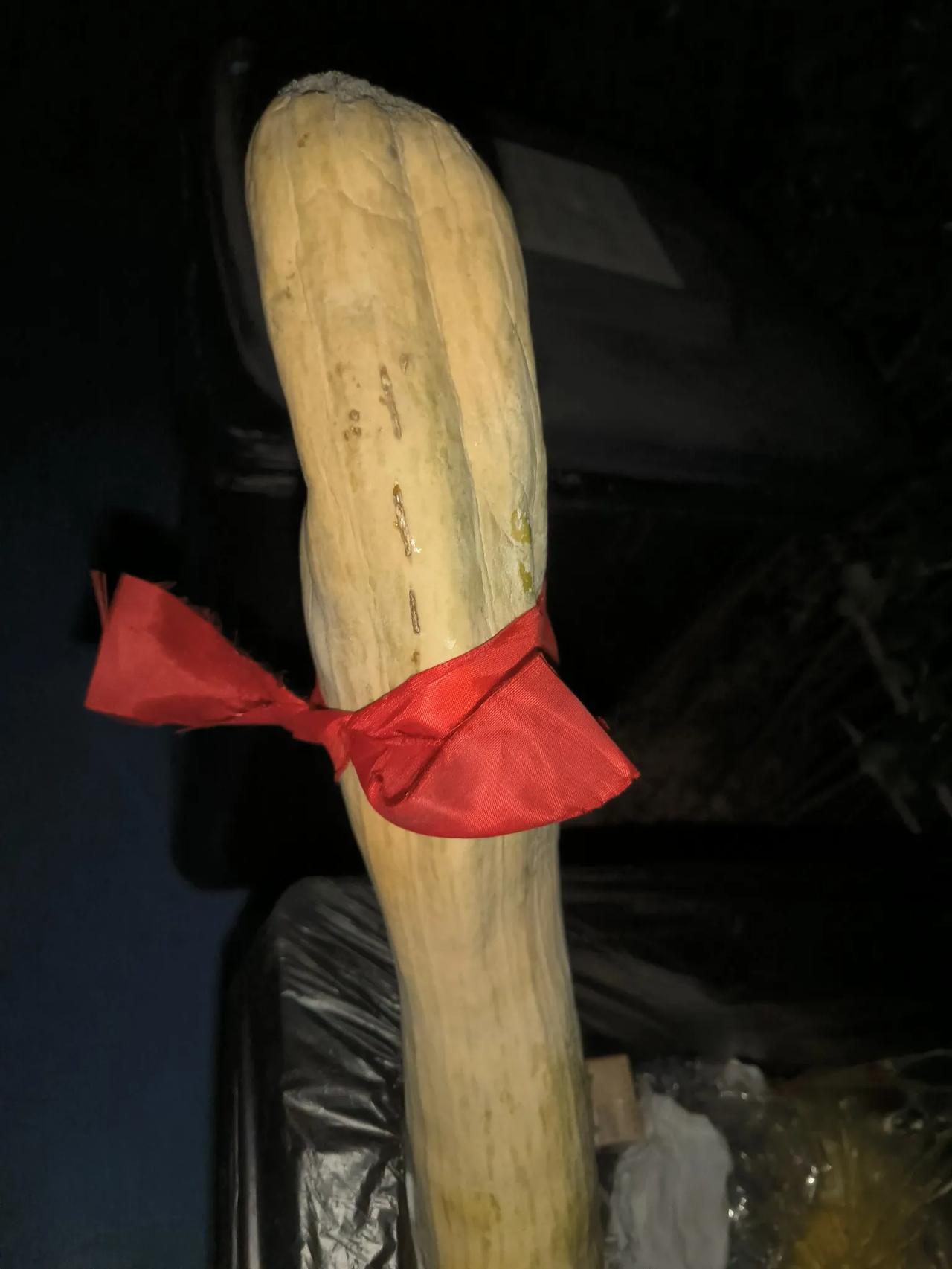 大坎瓜长绿毛，只能和垃圾桶亲密接触了，和我只能拜拜啦！
扔的挺可惜，都是拿钱买的