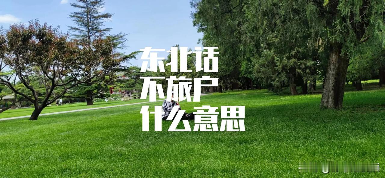 东北话不旅户，什么意思？昨天有个姐妹跟我聊天，不经意间听她说了一句不旅户，这可给
