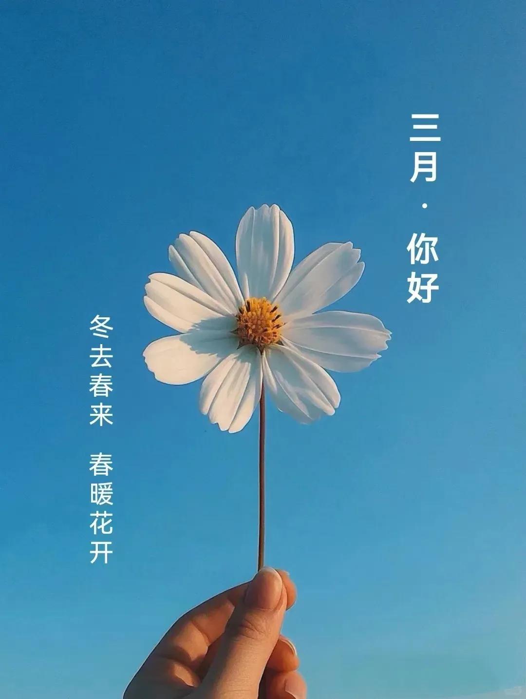 ²⁰²⁵⸝₀₃⸝₀₁🧧二月二，龙抬头[招财进宝]
龙抬头，好兆头！  
风调雨