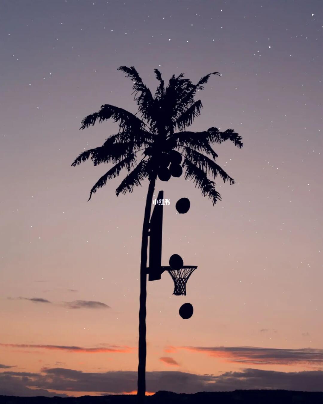 审美提升|每天认识一位摄影大师191