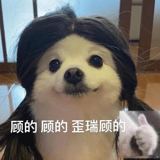 很多时候的问题都可以用钱解决，但普通人，往往因为钱的问题在现实生活面前低头。so