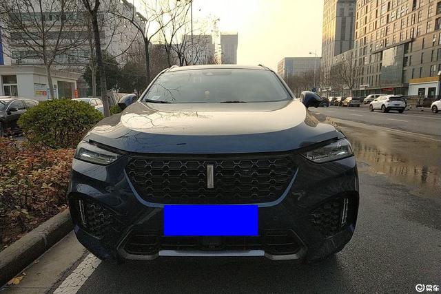 【车主：车子前脸蜂窝式的进气格栅很有立体美感，溜背式的造型看起来也非常时尚】
W