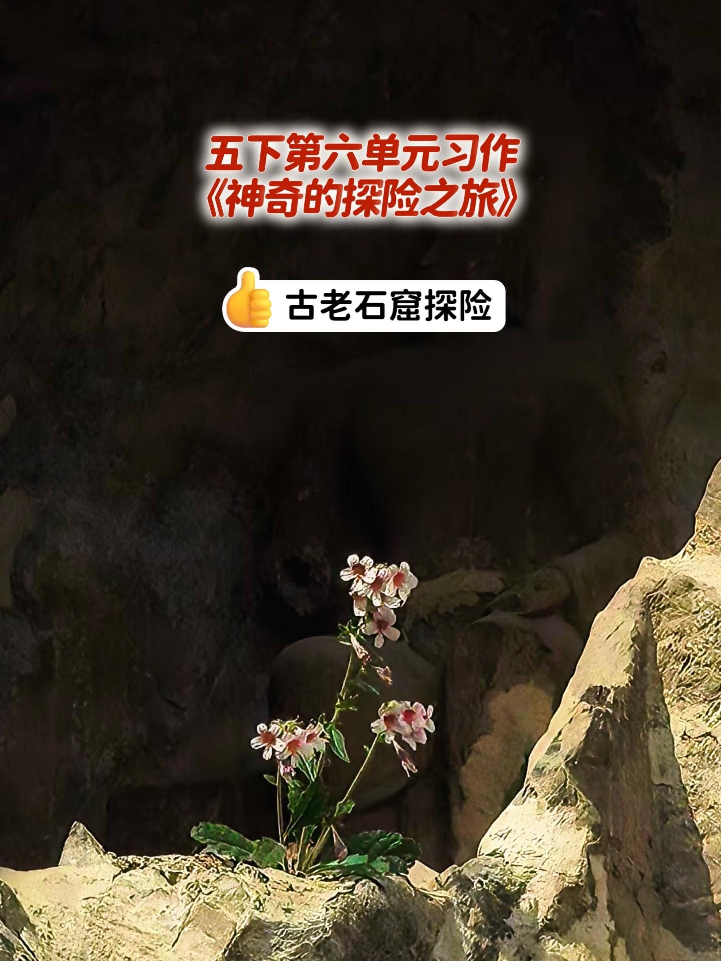 《神奇的探险之旅》～古老石窟探险。小学五年级下册第六单元习作《神奇的探...
