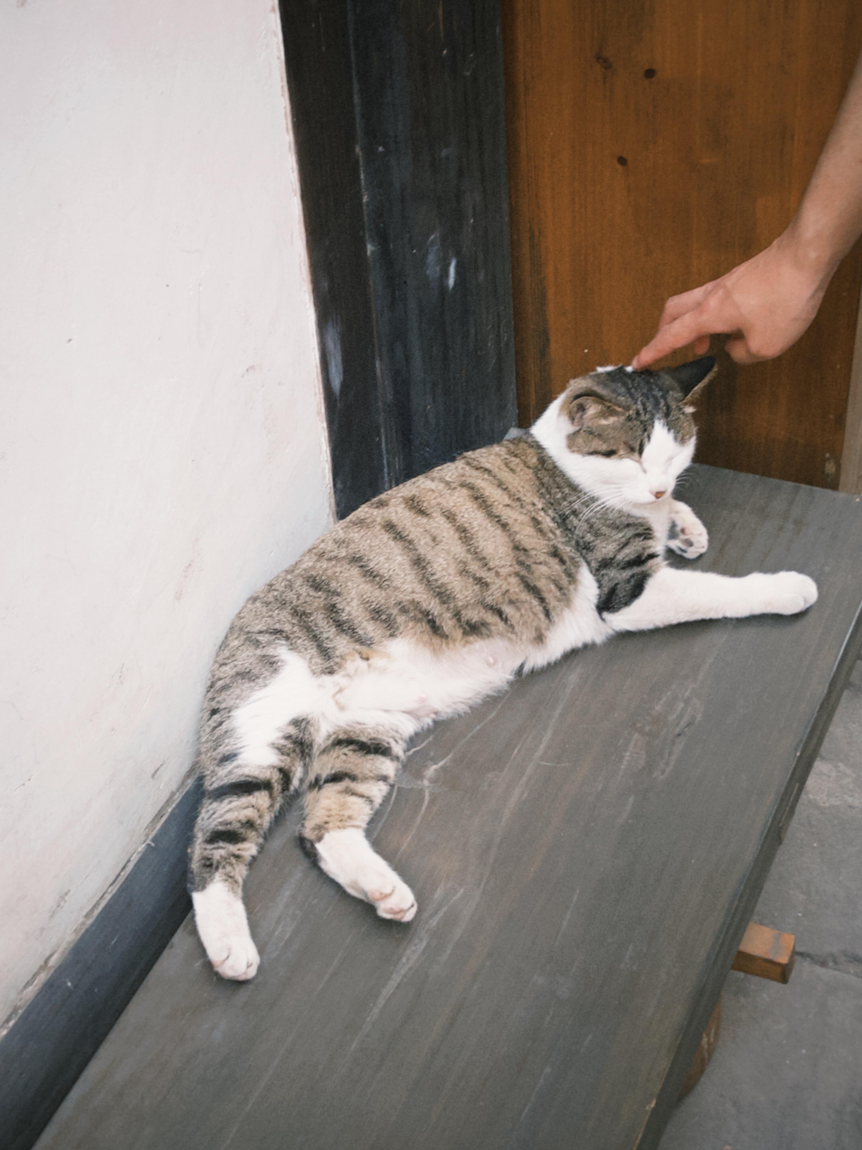 重庆｜下浩里🍃在下浩里感受重庆的春天下浩里的小店真的太多了 超级好拍拍到了在长