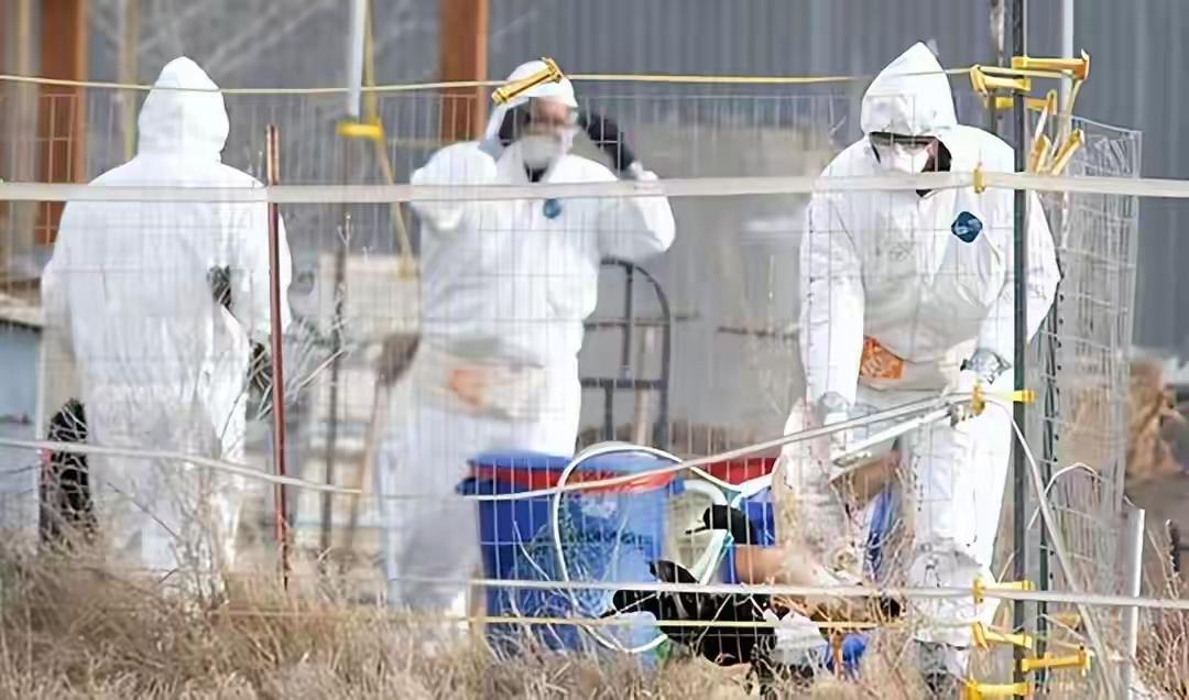 把自己打崩了！美军海外最大医院紧急呼吁献血，并让产科腾床位