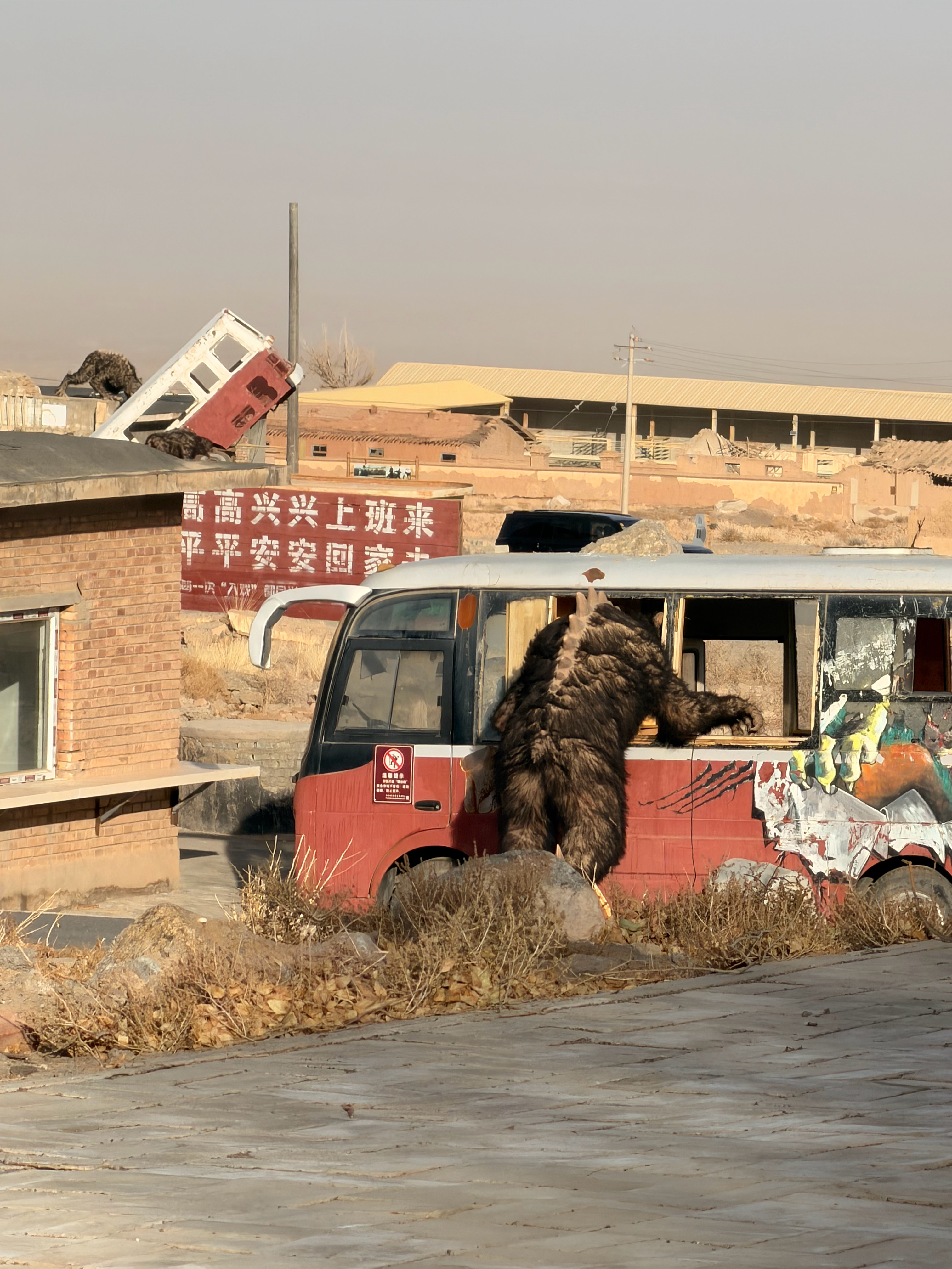 到西部去吃羊头 