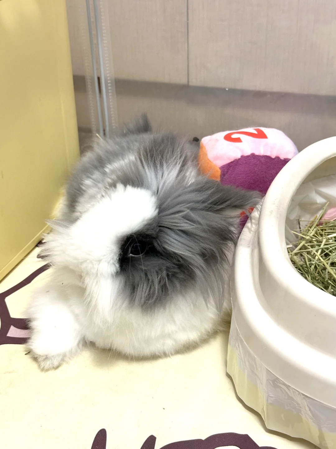 我给他杯子洗了