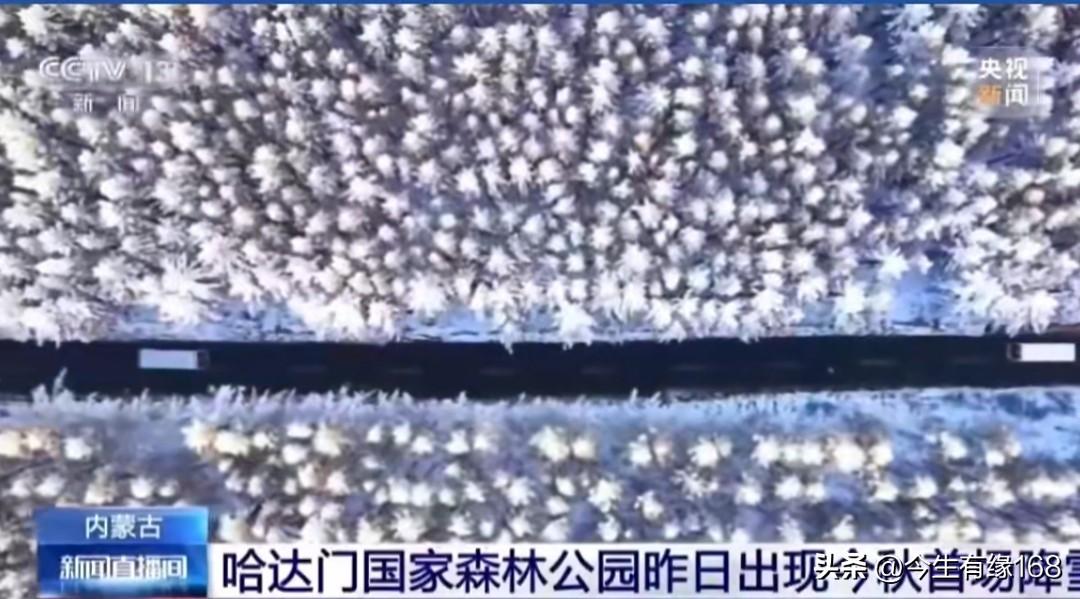 2026年10月17日，内蒙古武川哈达门森林公园迎来金秋初雪，登上央视。雪花飘落