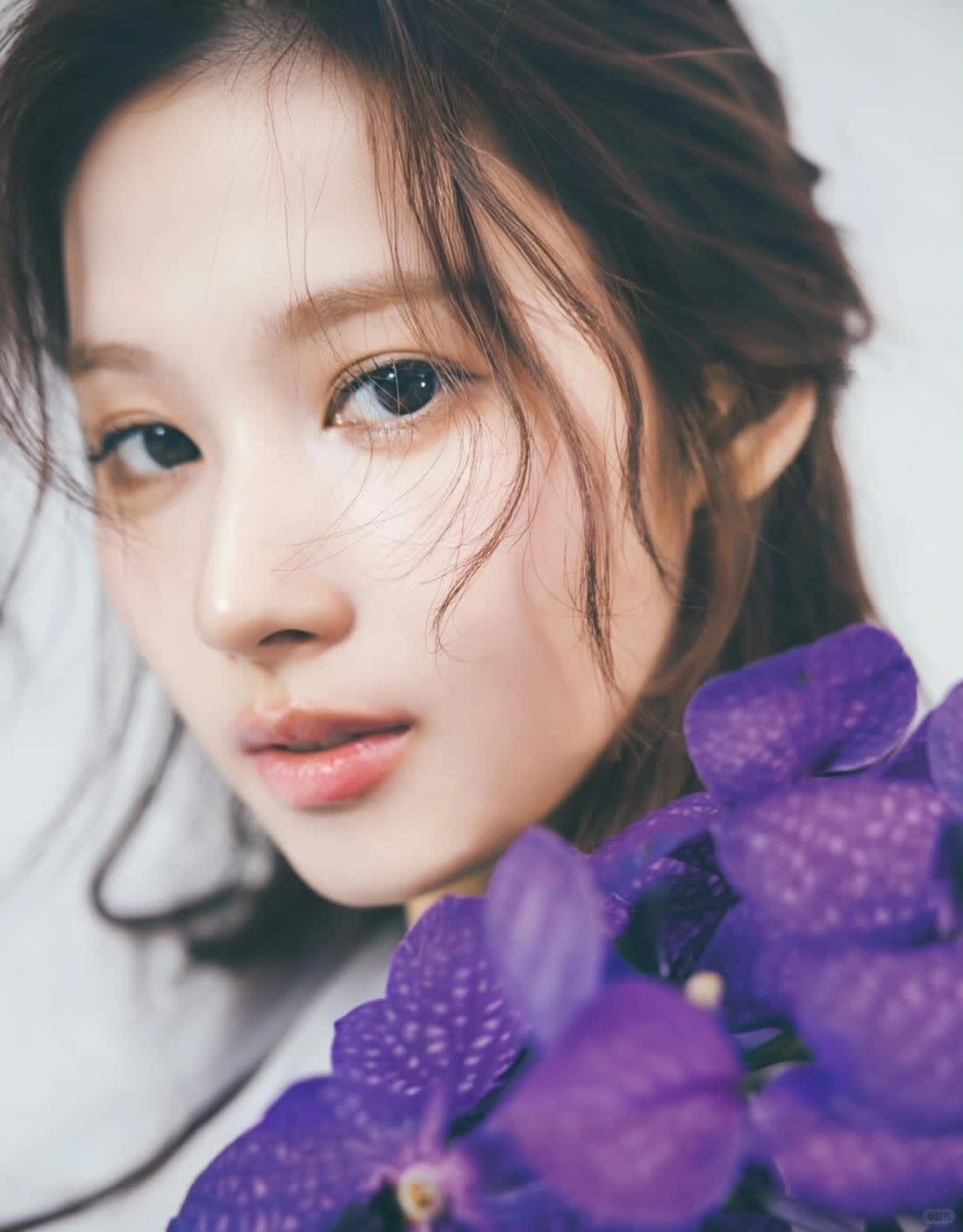 梦般的名字 梦般的回眸 哪里能拍出这种图？ 凑小狗的新封面 大家猜猜是日韩哪个国