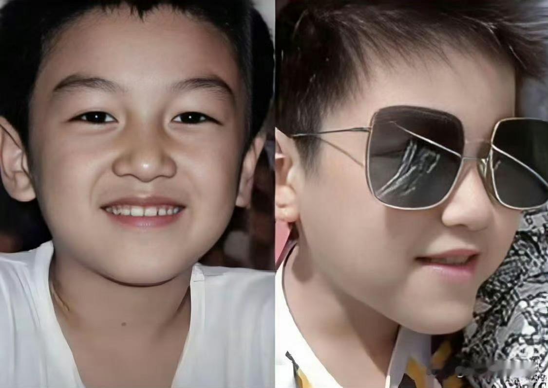 陈晓可能会再谈恋爱
但可能不会再生孩子了
因为小星星真的和他一摸一样，完全继承了