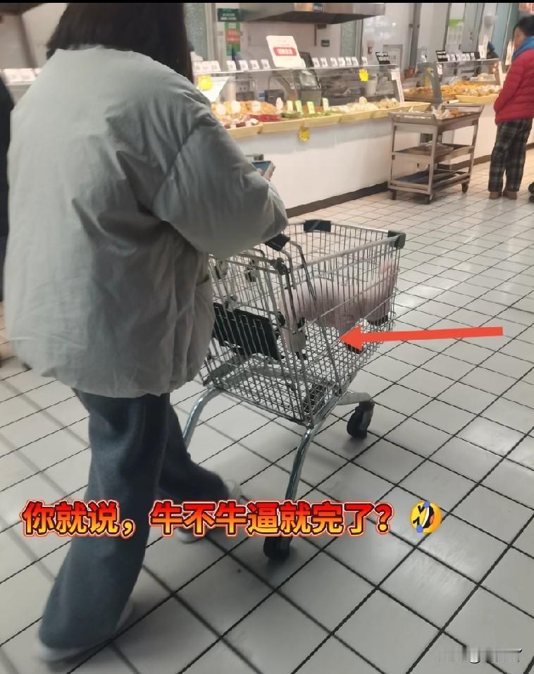 在养狗人眼里，狗就是他爹他妈他祖宗、她老爷们儿她孩子……

所以你想想，他们带他
