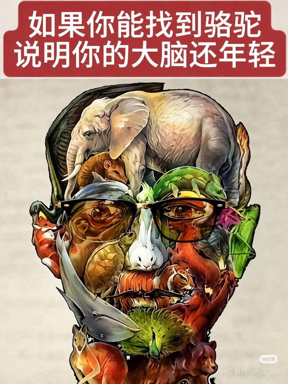 你能找到这张图片你的骆驼吗？ ​​​