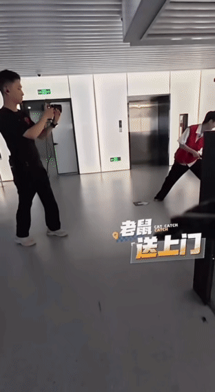 当年那批玩捉迷藏的人长大了 我们把这叫移动版吃鸡，安全区越来越小，躲藏点越来越少
